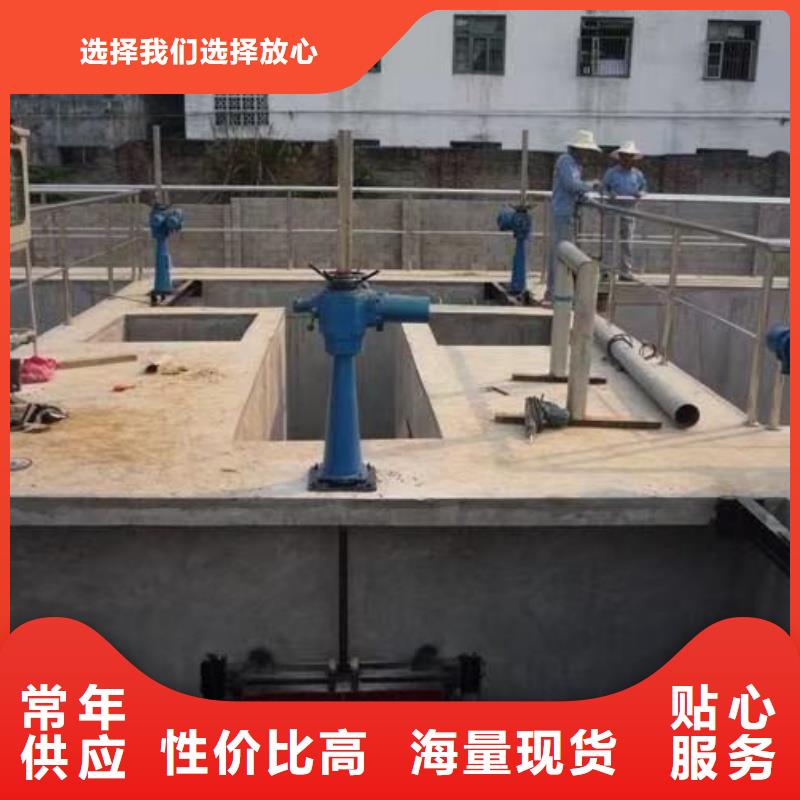 QL雙吊點(diǎn)啟閉機(jī)-報(bào)價(jià)實(shí)在