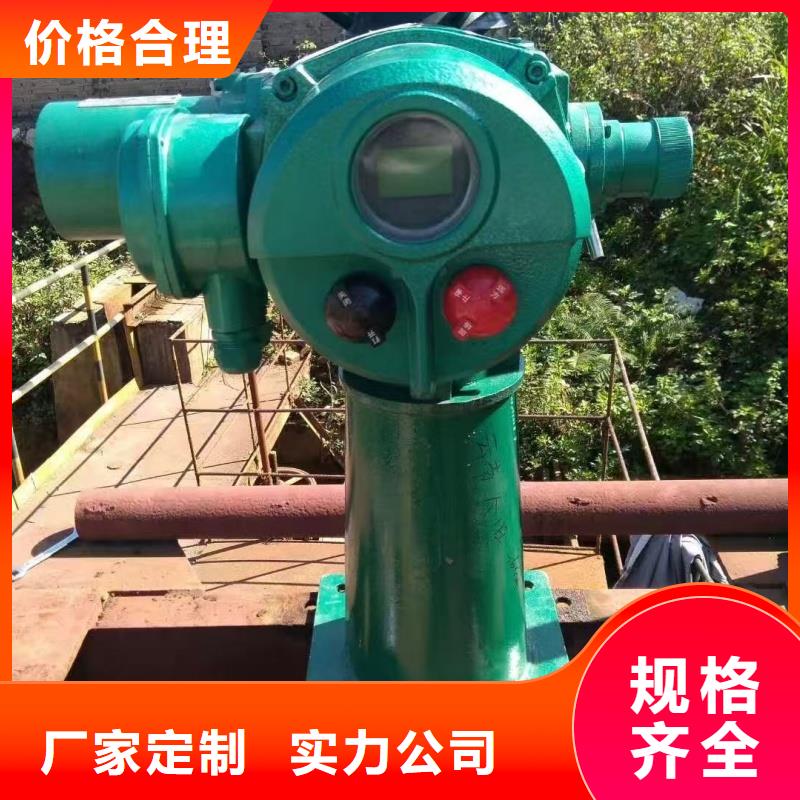 潢川縣閘門啟閉機(jī)廠家