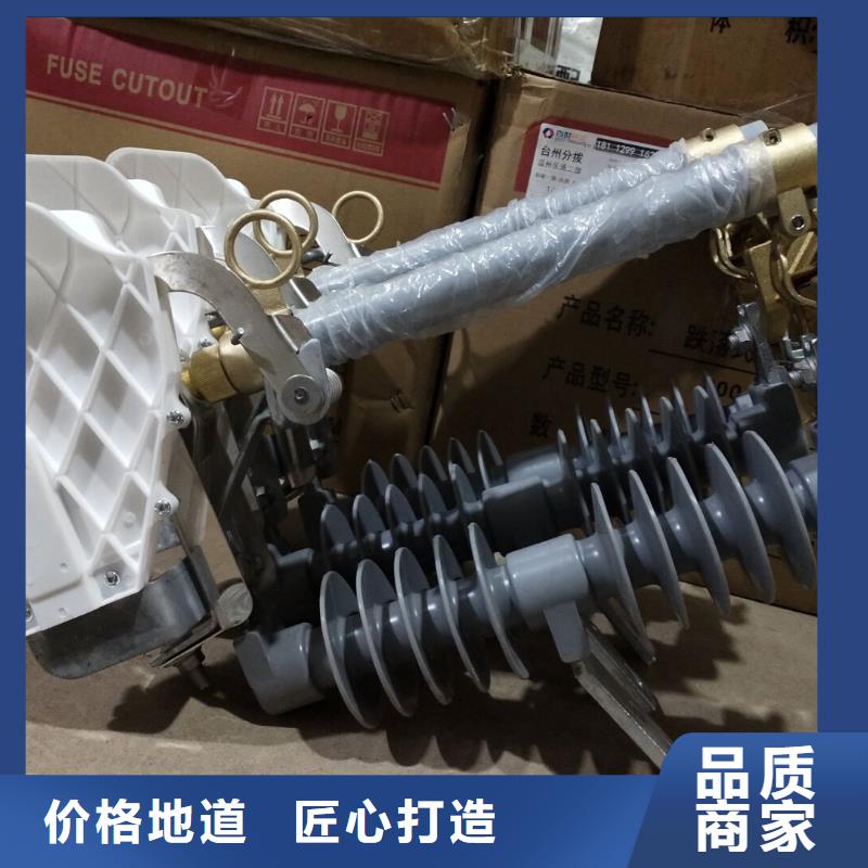 高压熔断器/PRW12-24KV/100A