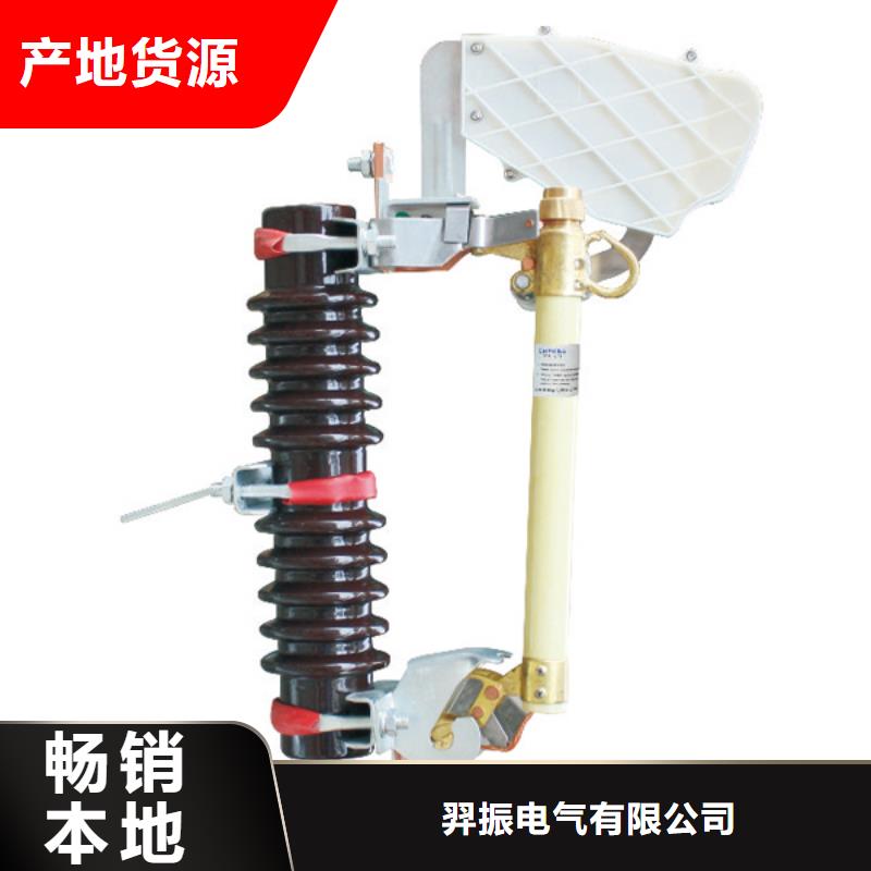 高压熔断器/PRW12-24KV/100A