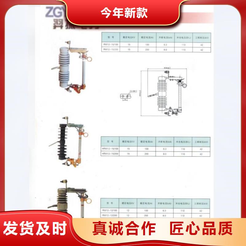 【跌落式熔断器】RW12-10/200A浙江羿振电气有限公司