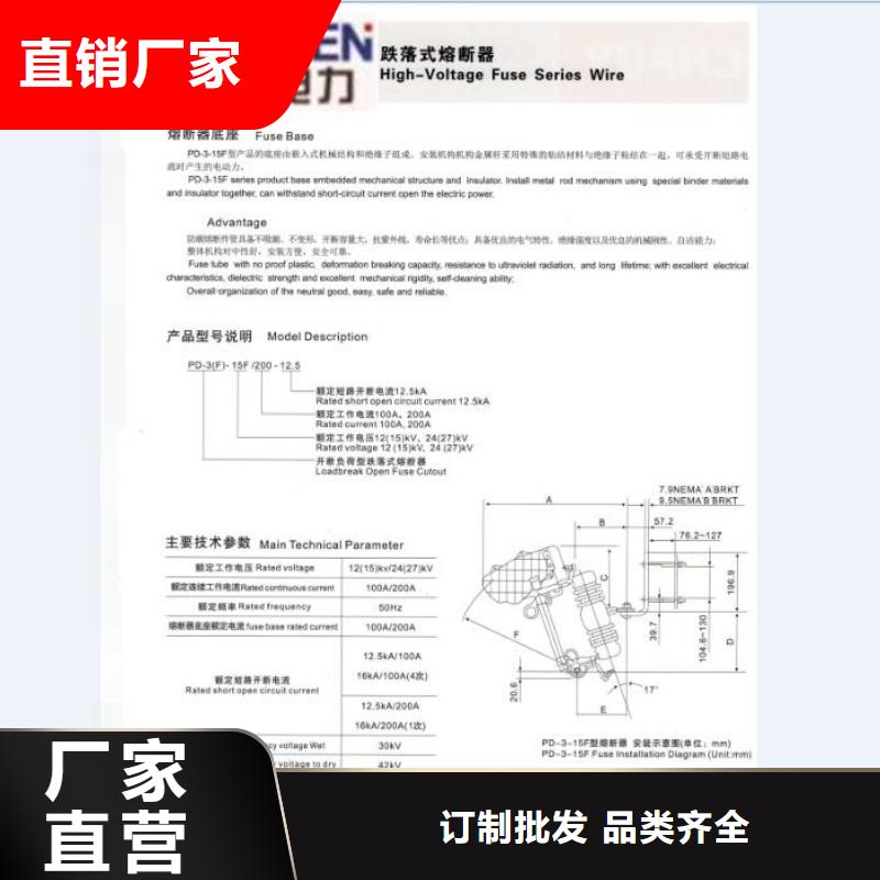 跌落式熔断器RW12-10F/100A