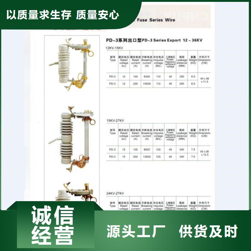 跌落式熔断器RW-10F/100A