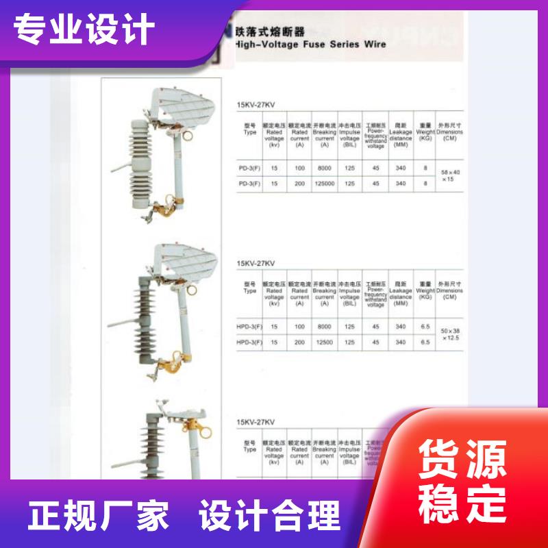 高压熔断器_RW12-15F/100A