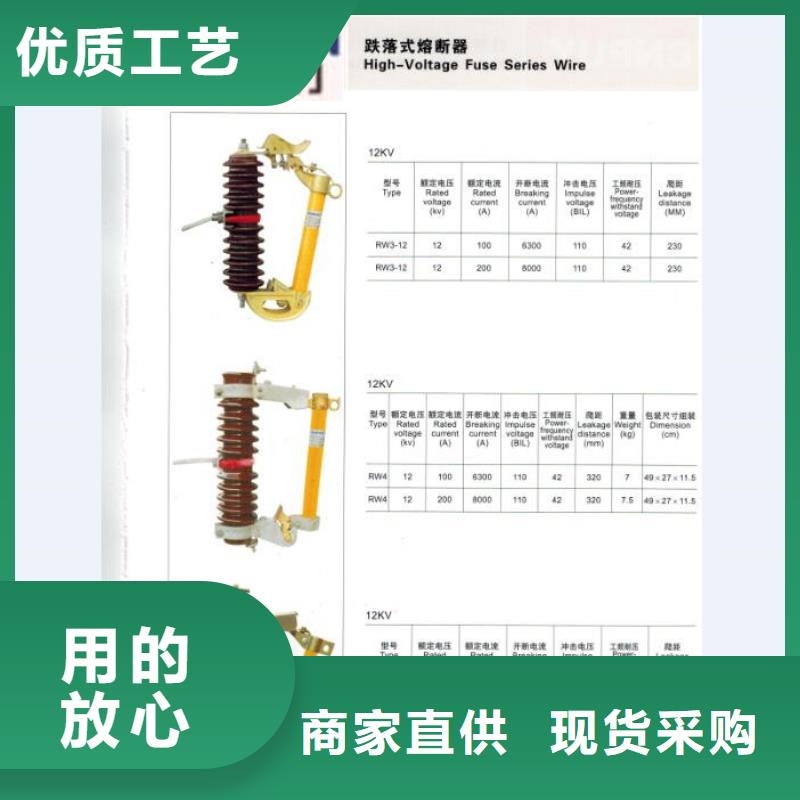 户外高压跌落式熔断器熔丝具RW12-10/200A