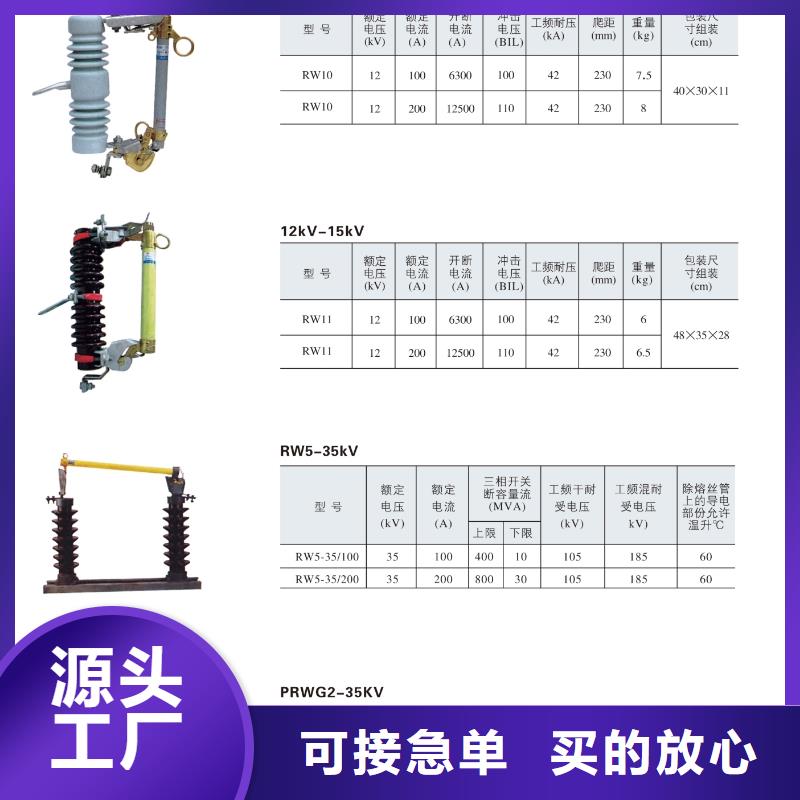 跌落式熔断器PRWG1-10-100A