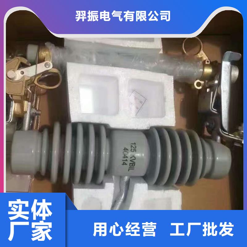 熔断器瓷瓶绝缘子老品牌厂家