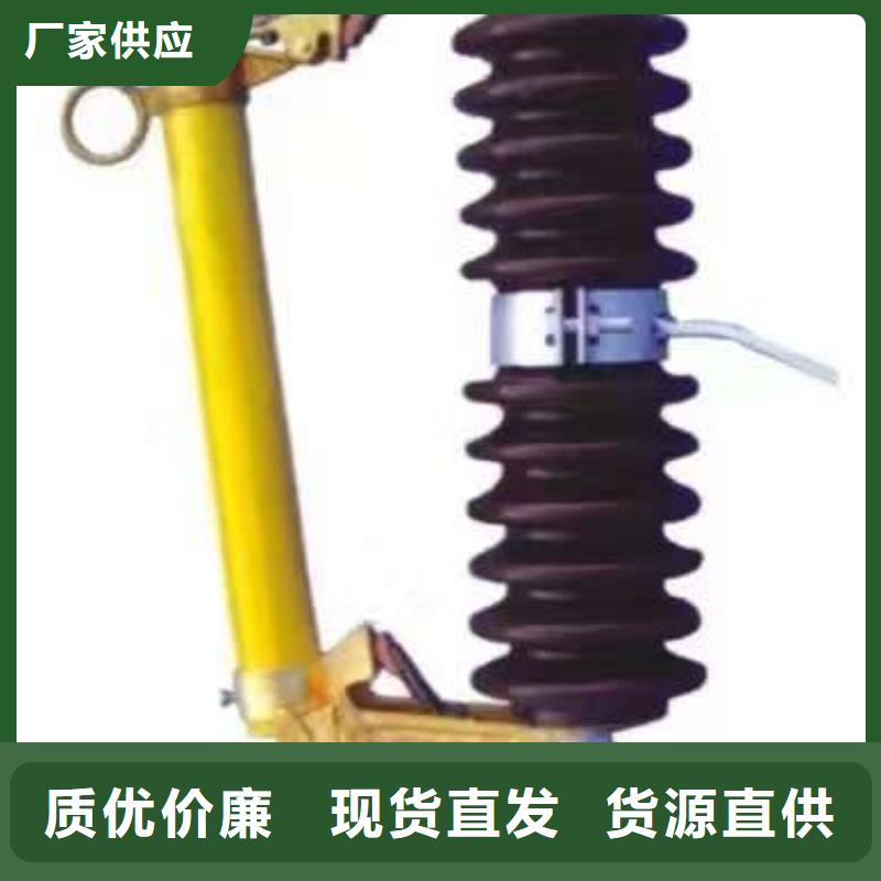 高压熔断器/AC15kV/100A/跌落式/瓷质