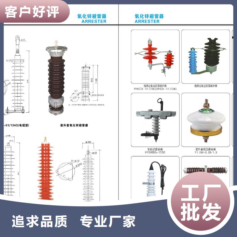 高压隔离开关支柱绝缘子品质保证实力见证