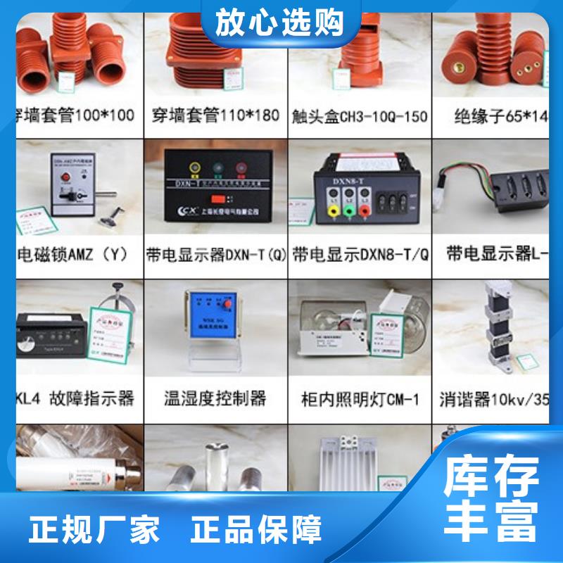 高压隔离开关【CW2智能型式断路器】厂家直销规格多样