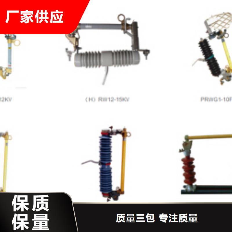 VS1-12/1600-31.5固封式真空断路器【浙江羿振电气有限公司】