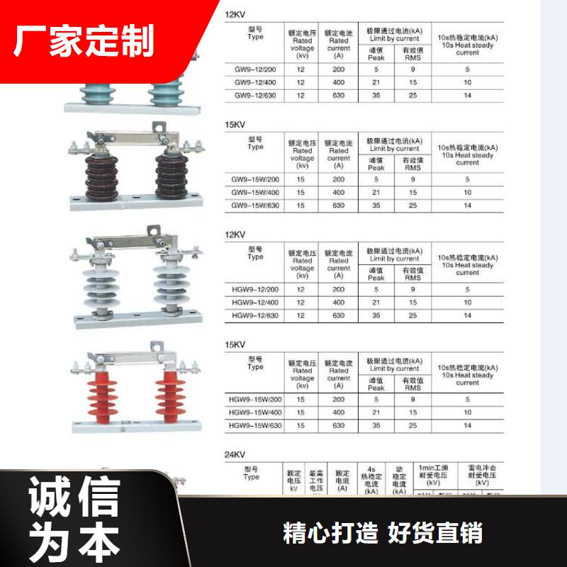 高压熔断器-RW5-35/200A