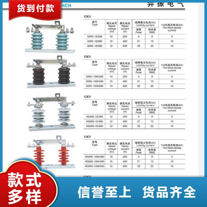 【羿振电气】防雷绝缘子耐张线夹串FGNC20-240ZD