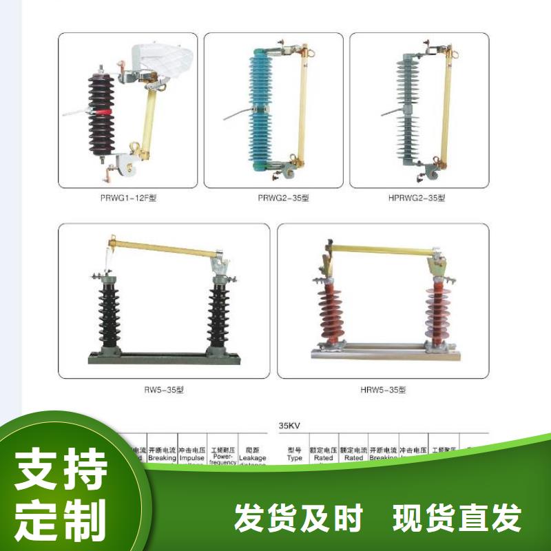 VS1-12/1600-31.5固封式真空断路器【浙江羿振电气有限公司】