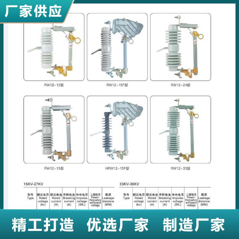 FN5-10D/400A【浙江羿振电气有限公司】