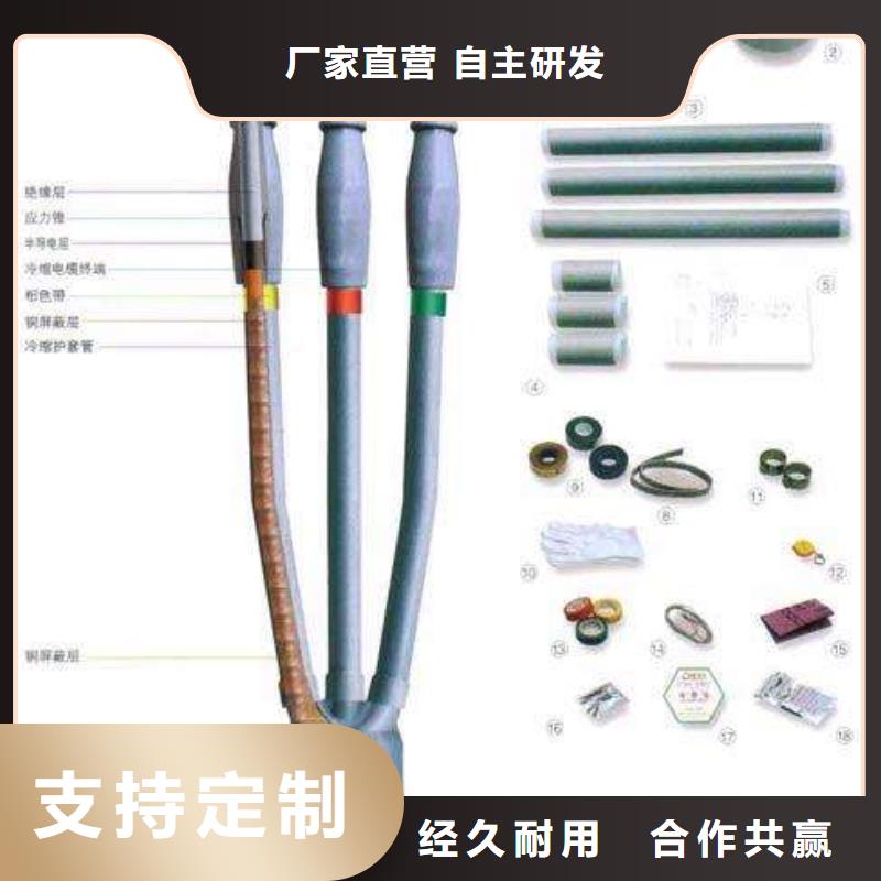 NSY-10/3.3户内热缩电缆终端头