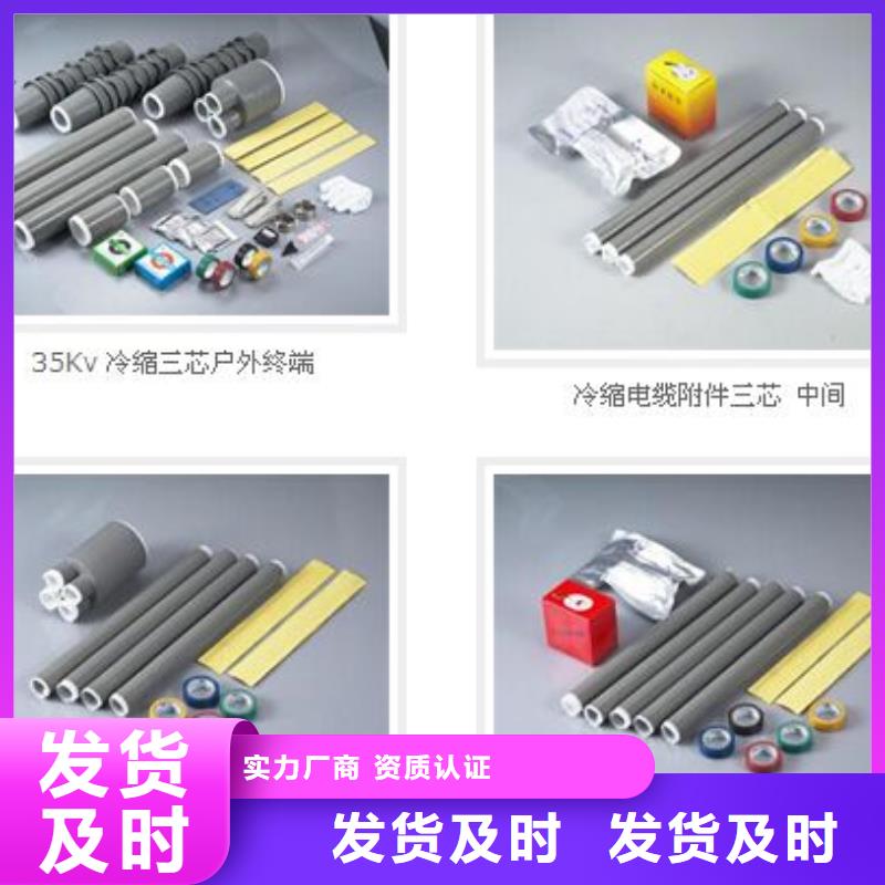 電纜終端頭NSY-10/3.2