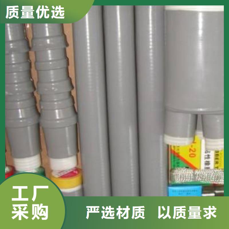 戶外冷縮式電纜終端頭10KVLSW-1/2