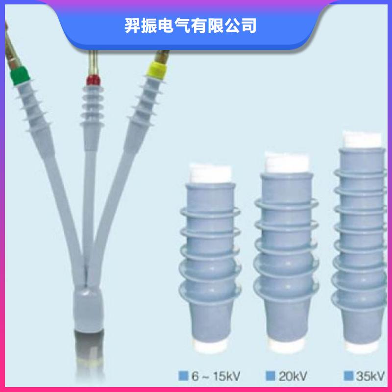 户内热缩电缆终端头RSNY-3/4-15KV