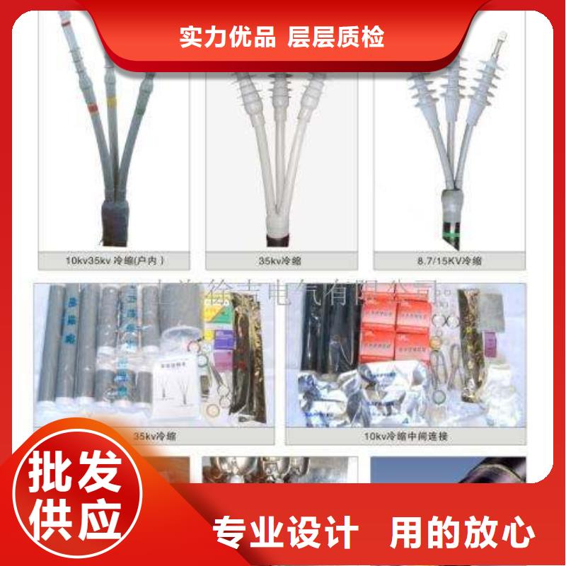 熱縮電纜終端頭RSWY-1/1-10KV