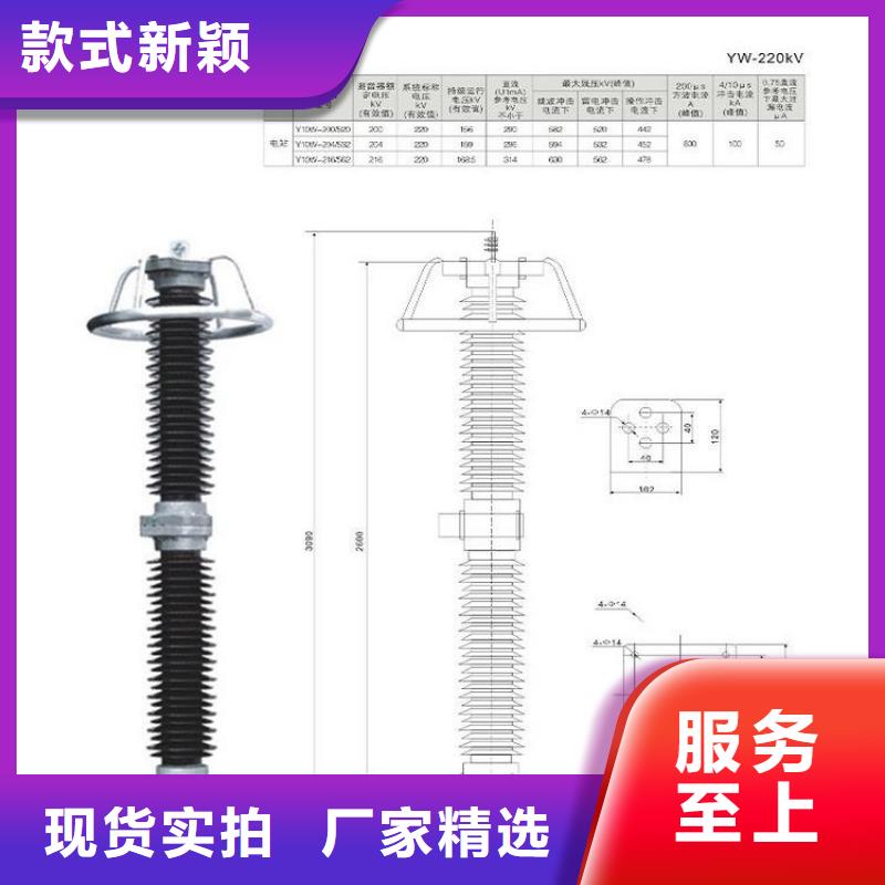 YH10WZ-51/134G【上海羿振电力设备有限公司】