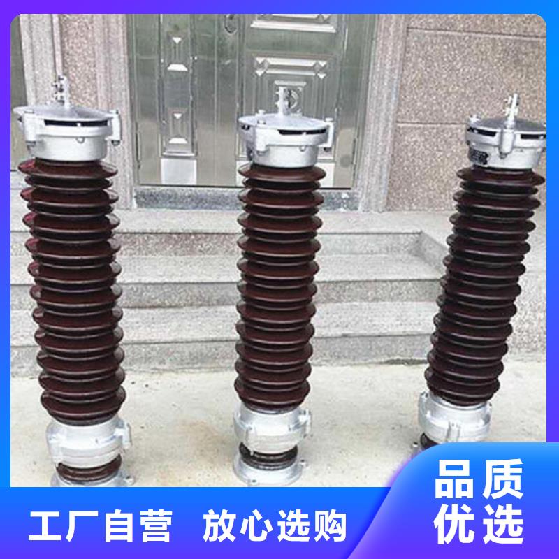 避雷器Y5W-54/134W【羿振电气】