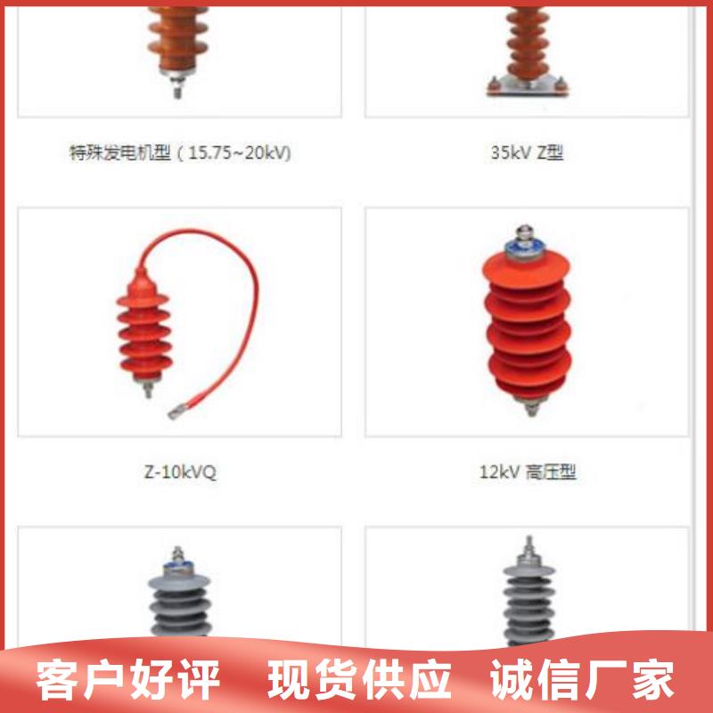 避雷器Y10W5-54/134