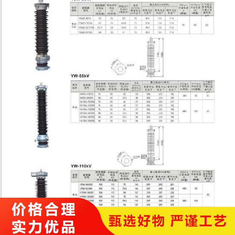 【避雷器】Y5W5-54/130