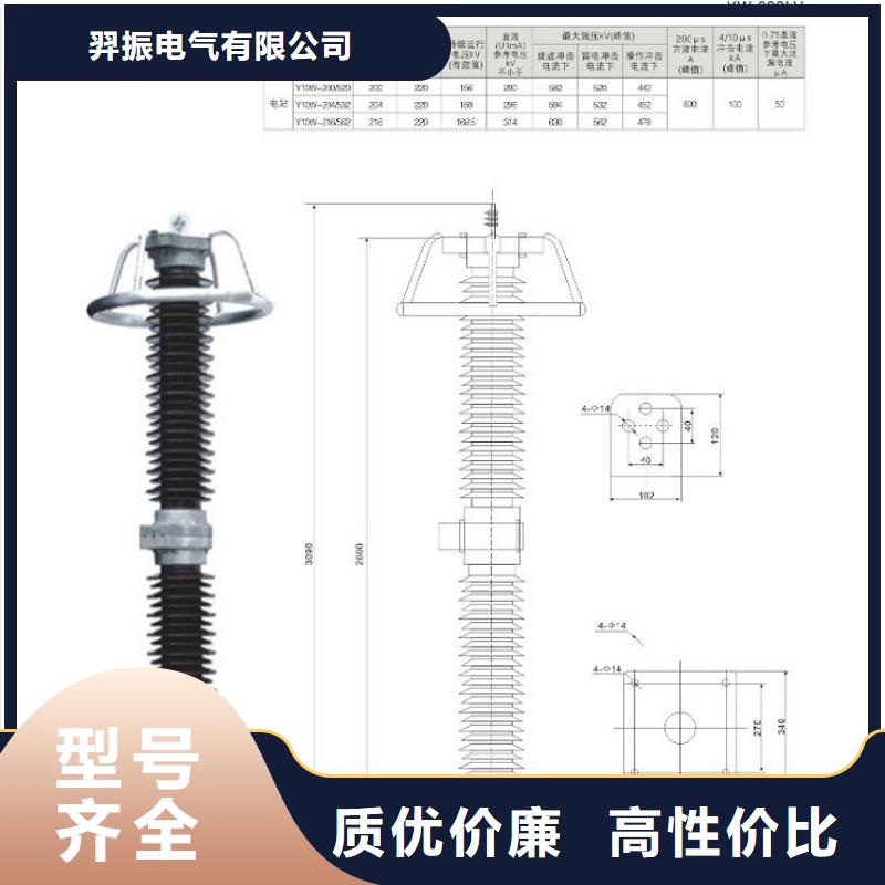 避雷器Y5WT5-42/128S【浙江羿振电气有限公司】