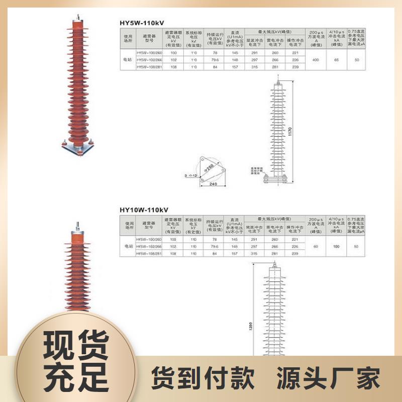 避雷器Y10W-100/260【羿振电气】