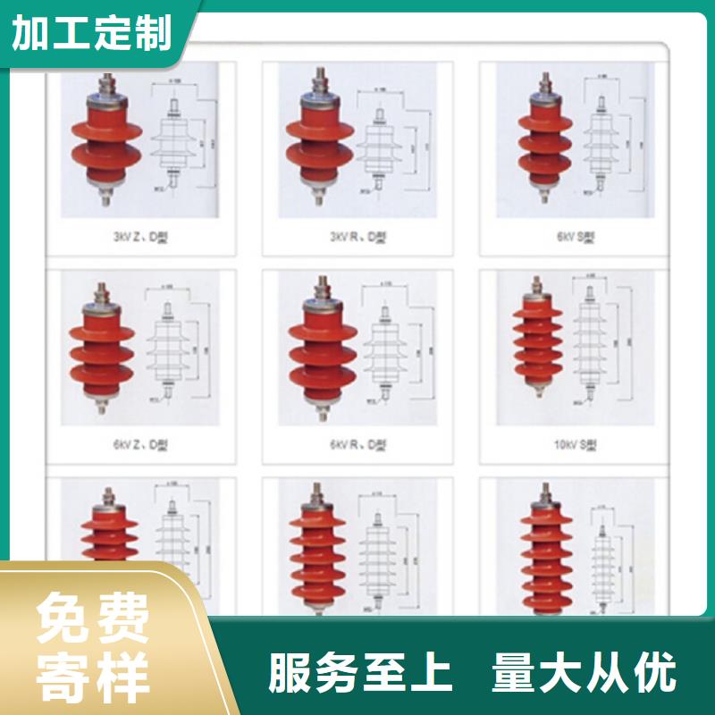 【羿振电气】高原型复合避雷器YH10WZ5-51/134GY-J（带计数器）