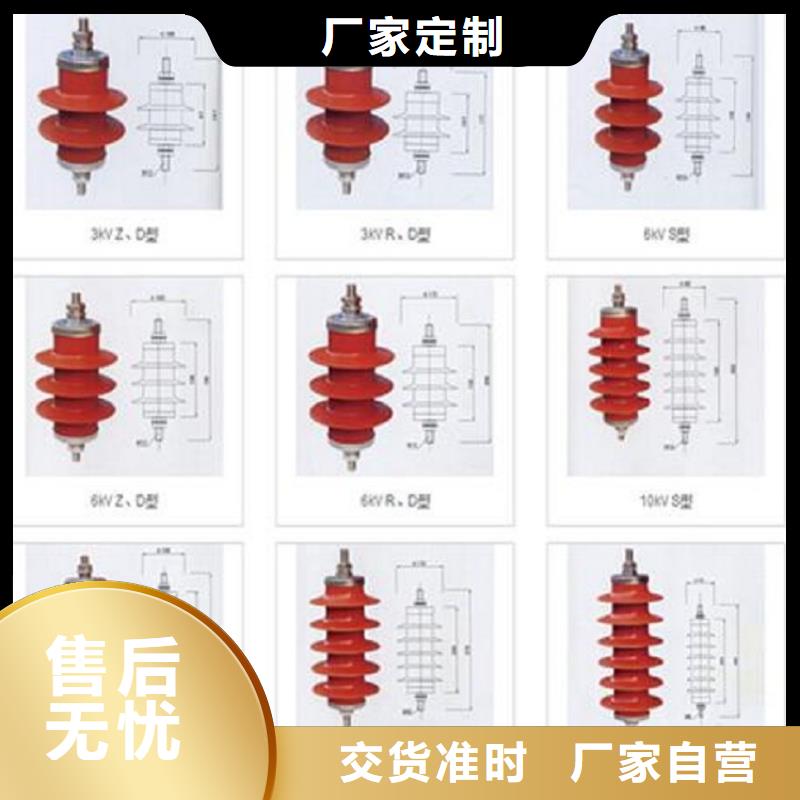 金属氧化物避雷器Y10W1-102/266(G)W