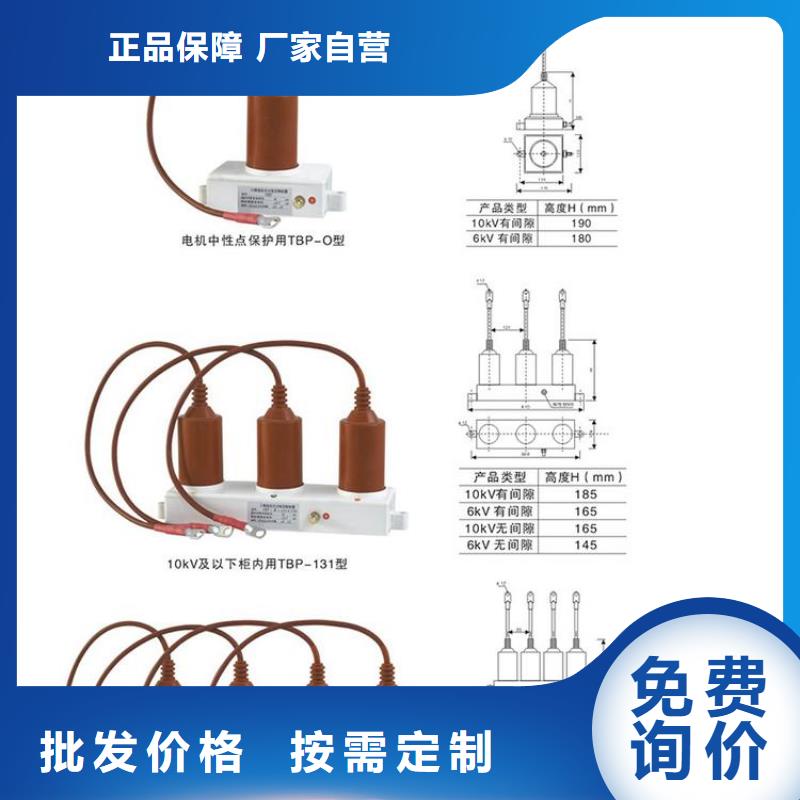 过电压保护器(组合式避雷器)BSTG-B-35