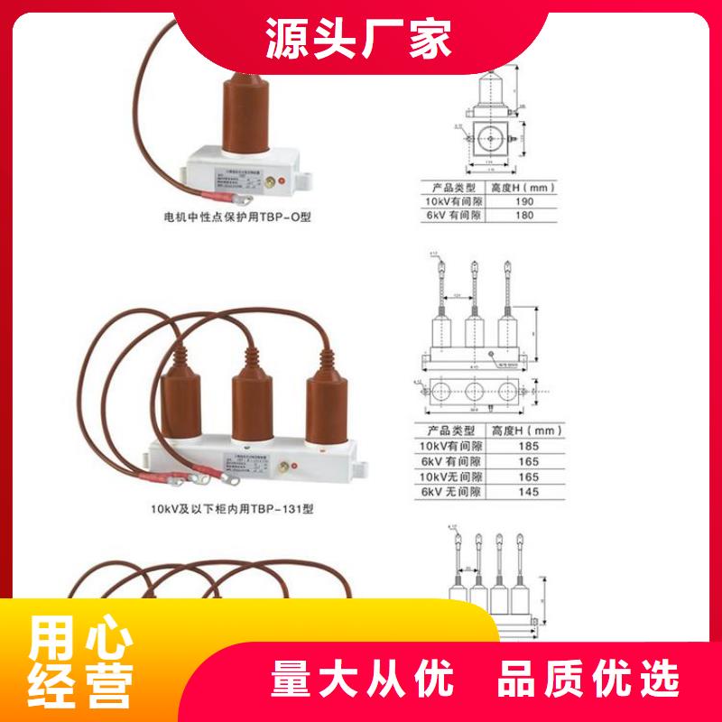 过电压保护器(组合式避雷器)TBP-C-7.6F/150-J