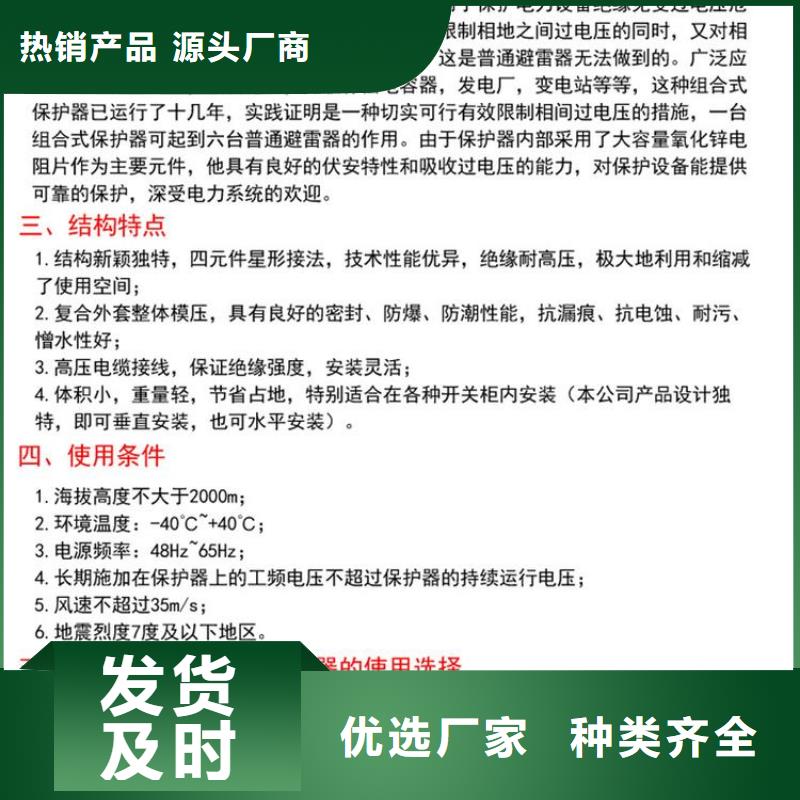 过电压保护器(组合式避雷器)YH2.5WD-8/25*8/19