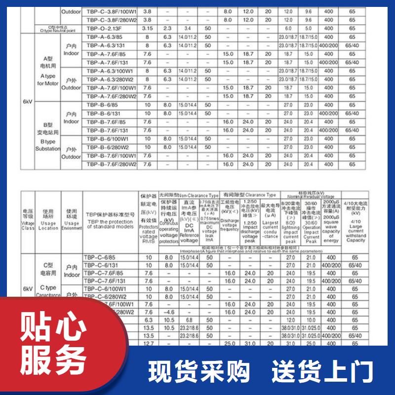 保护器(组合式避雷器)TBP-0-7.6F