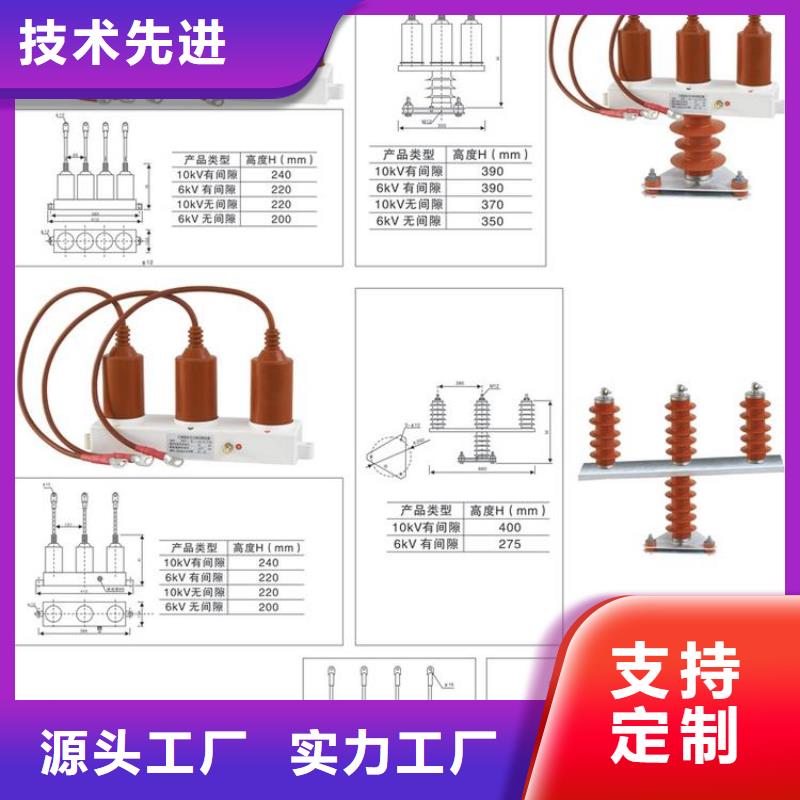 【组合式避雷器】TBP-B-10