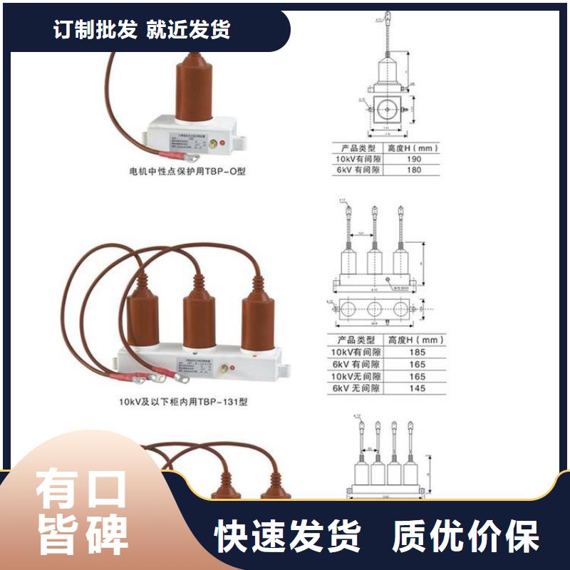 保护器(组合式避雷器)TBP-A-42F/280-IM