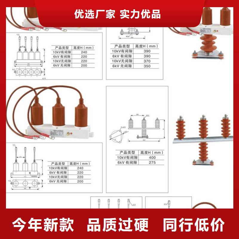 过电压保护器(组合式避雷器)TBP-A-42F/630W2