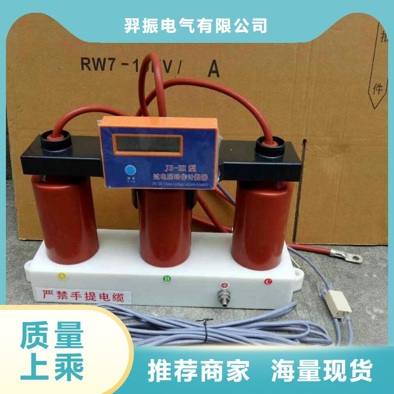 过电压保护器(组合式避雷器)BSTG-O-13.5