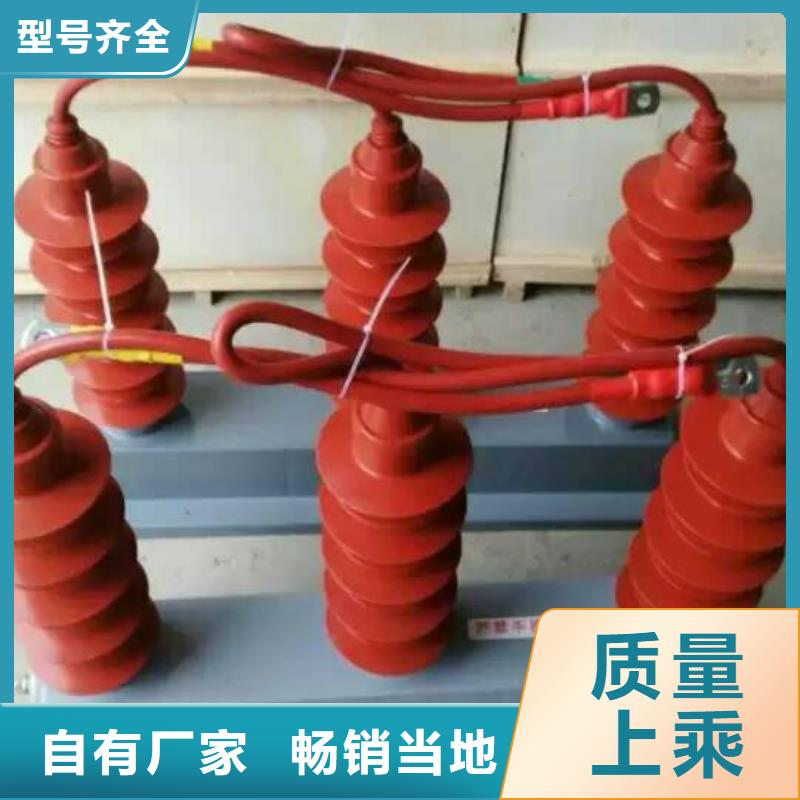 过电压保护器(组合式避雷器)YH2.5WD-8/25*8/19