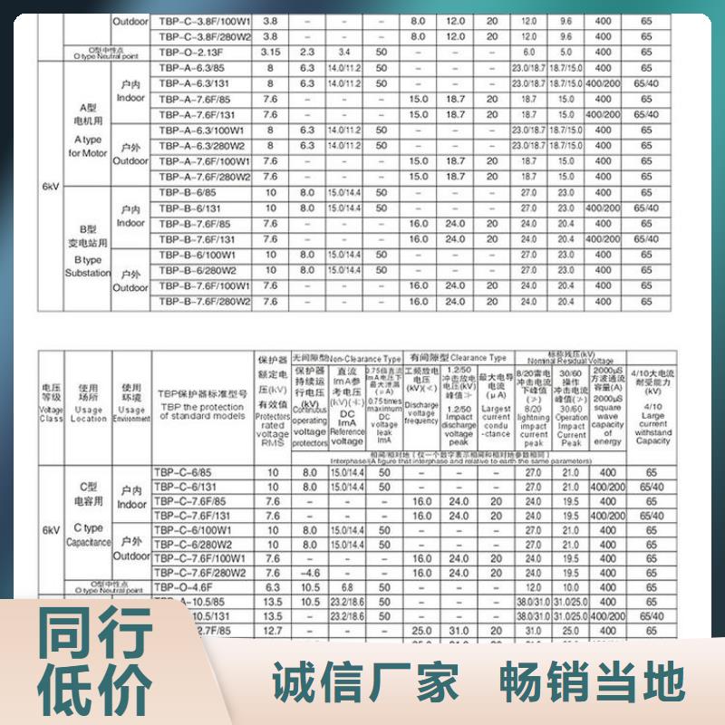 【羿振电力牌】过电压保护器TBP-C-42F/400W1