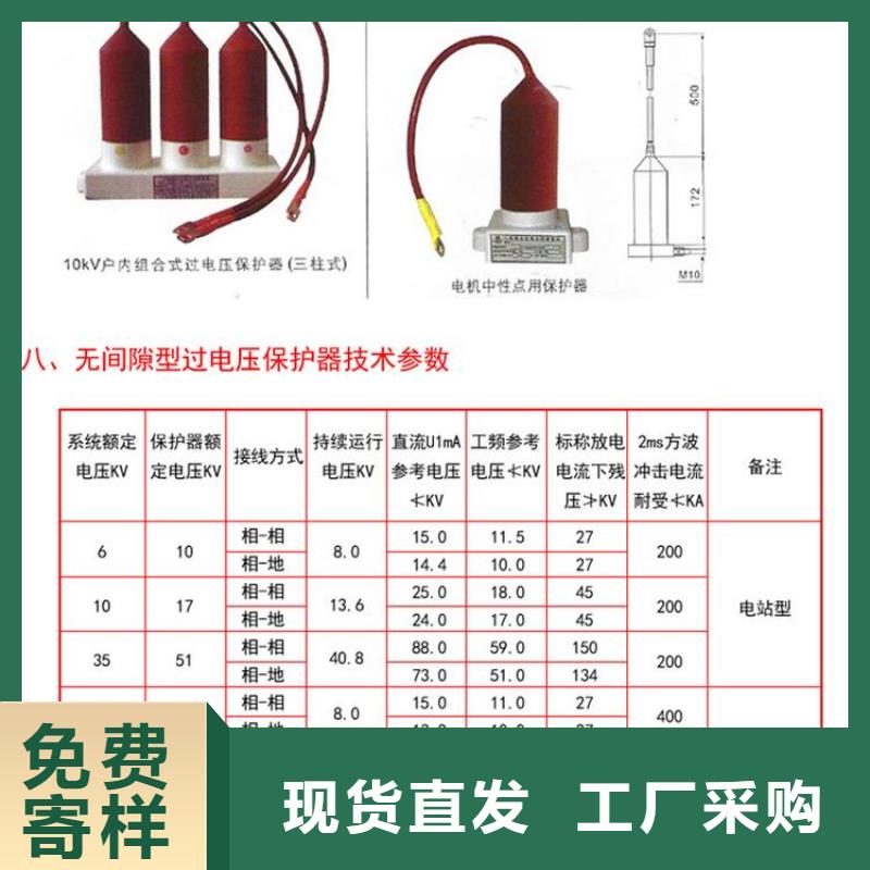 保护器(组合式避雷器)TBP-C-12.7/85-J