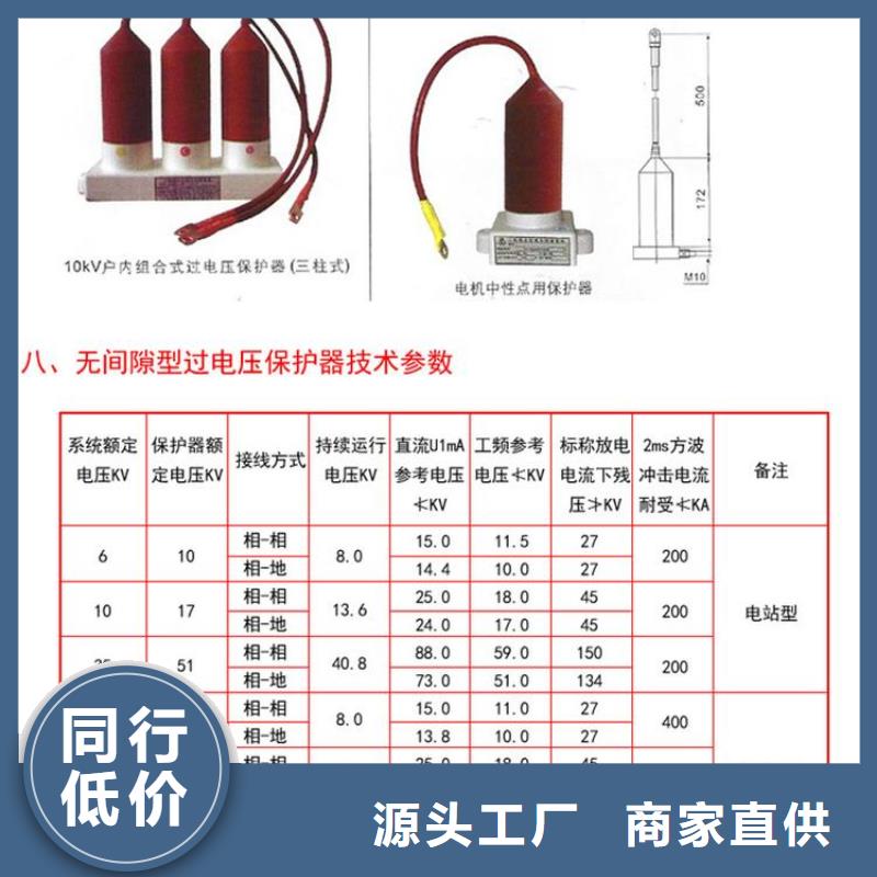 保护器(组合式避雷器)TBP-B-12.7F/131