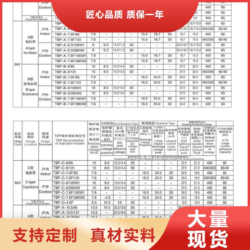 保护器(组合式避雷器)BSTG-B-7.6-J