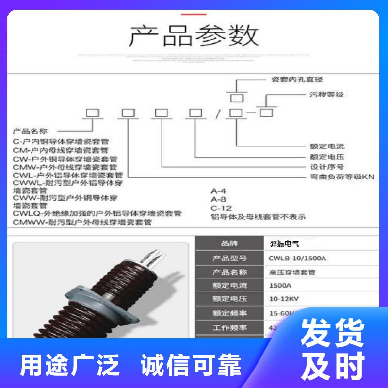 【穿墙套管】CWWL-40.5/3000-4