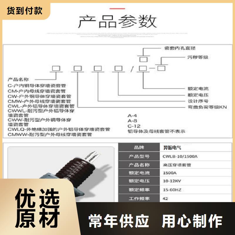 【穿墙套管】CWWL-10/2000A