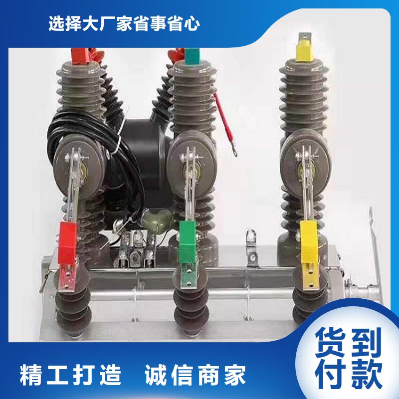 ZW32-12-630-25柱上开关-柱上断路器-户外真空断路器