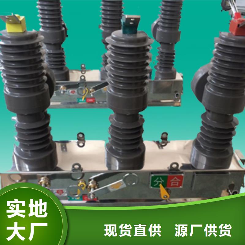 【断路器】永磁真空断路器ZW32-12G/M630-20