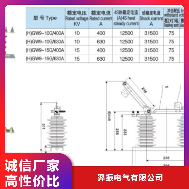 【隔离刀闸】HGW9-10G/200A